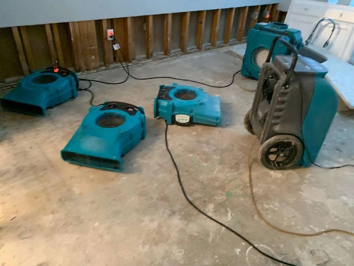 Drying & Dehumidification in Withamsville, OH
